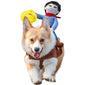 Funny dog riding costumes