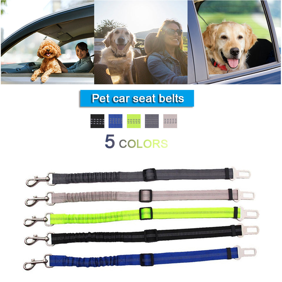 Vehicle Car Dog Safety Belt Lever Products