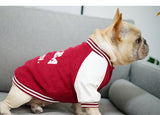 Uni french Bull Dog Sweater