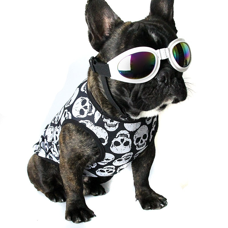 Smart dog t-shirt for summer season