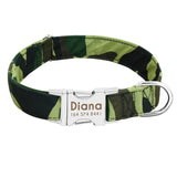 Adjustable Nameplate ID Collars For Medium Large Dogs