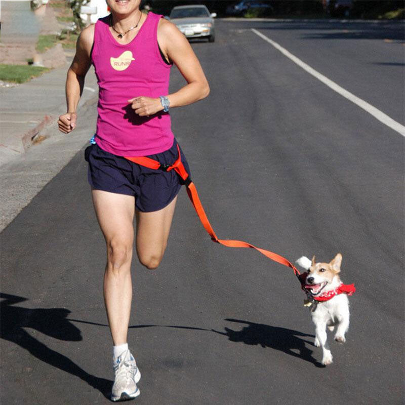 Dog Running Jogging Convenient Safe Fashional Goods for pets