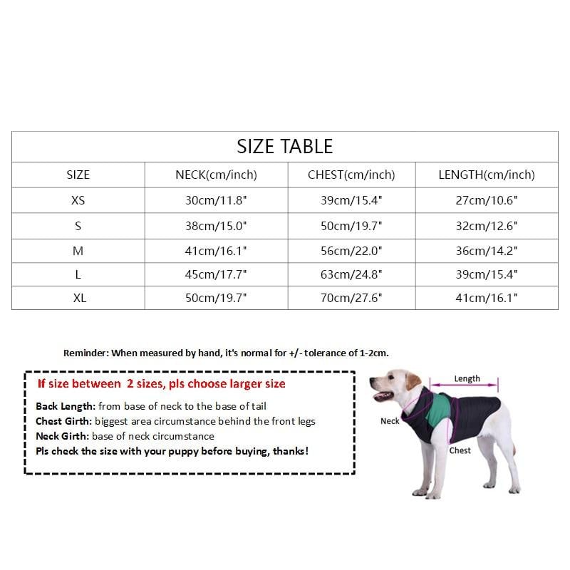 looking cool Dog Clothes for Small Dogs