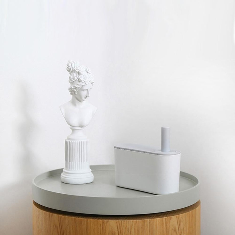 Pet dog Hair remover cleaning roller brush