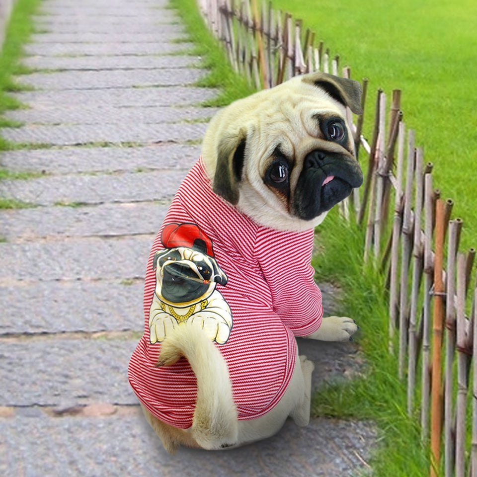 Cute Dog Clothes For Small french BullDogs