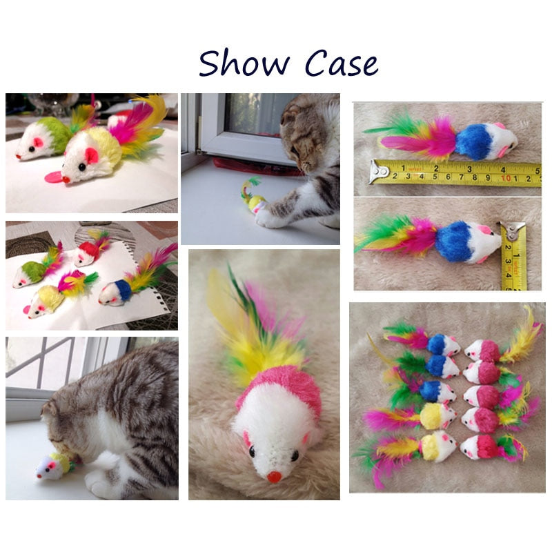 pawstrip 12pcs/pack Colorful Feather Dog Cat Toys