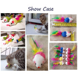 pawstrip 12pcs/pack Colorful Feather Dog Cat Toys