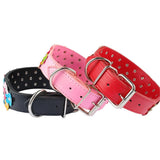 Flower Studded Leather Dog Collar