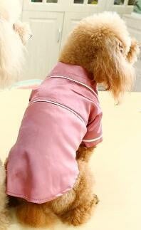 Collection Dog  Luxury  Bathrobe