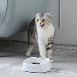Dog food digital feeding bowl