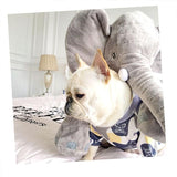 looking cool Dog Clothes for Small Dogs