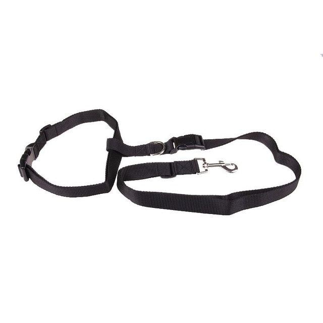 Dog Running Jogging Convenient Safe Fashional Goods for pets
