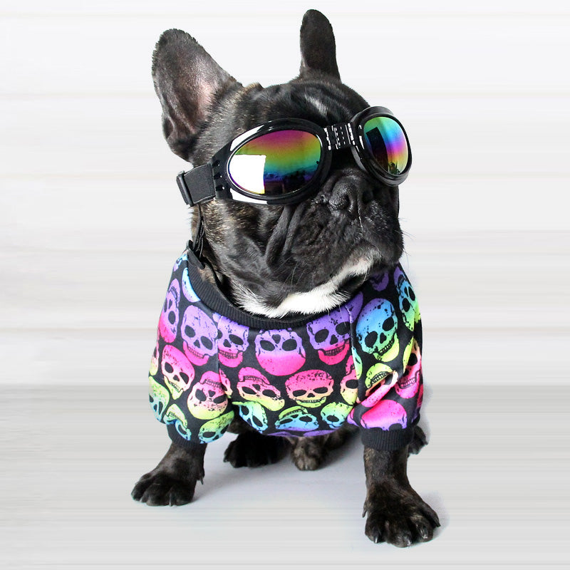 Smart dog t-shirt for summer season