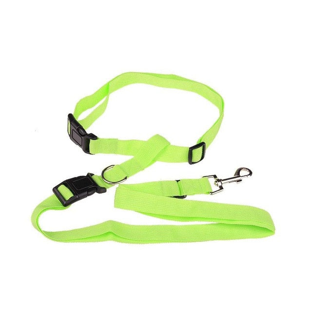 Dog Running Jogging Convenient Safe Fashional Goods for pets