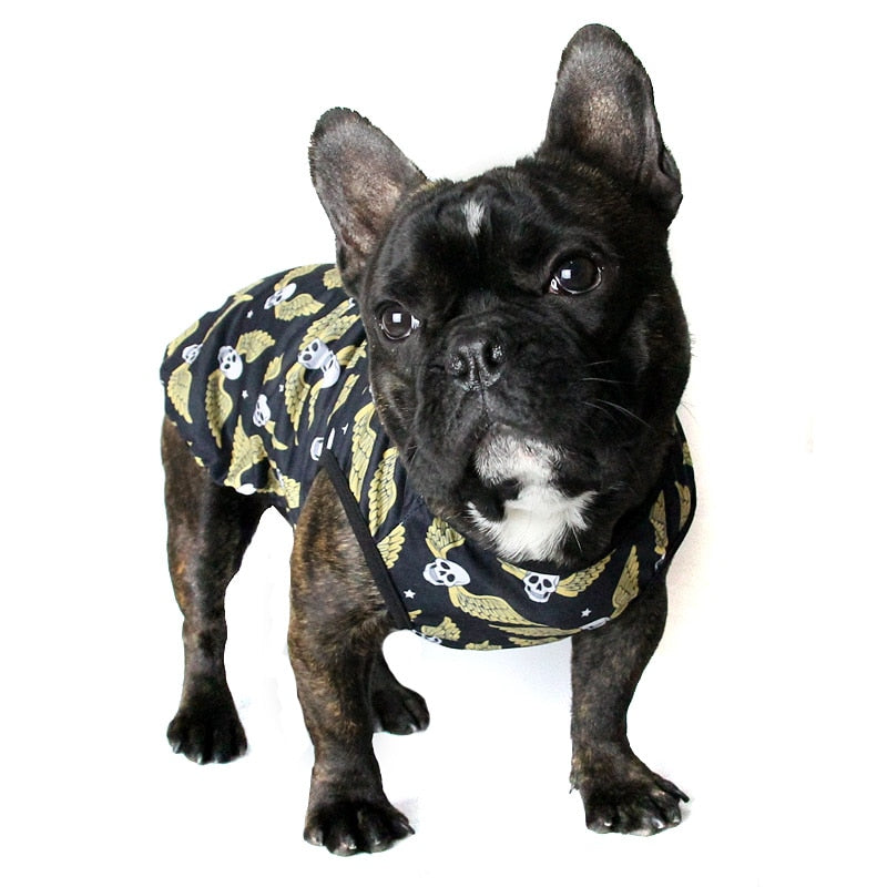 Smart dog t-shirt for summer season