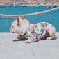 French Bulldog Clothes for Small Dogs