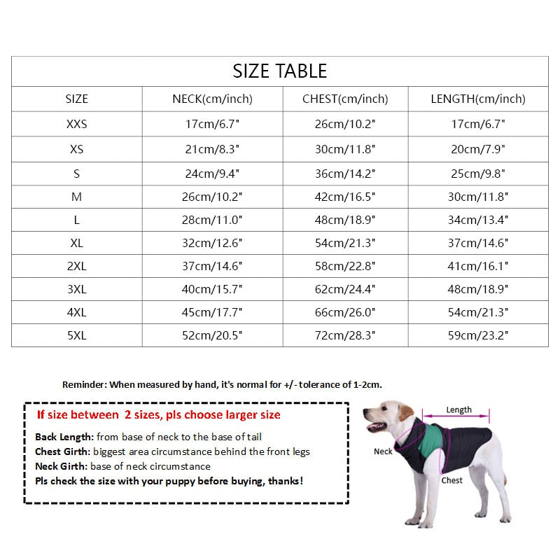 Smart dog t-shirt for summer season