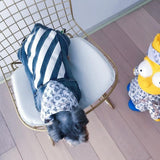 Handsome Cowboy Vest Dogs Clothes Summer Supplies