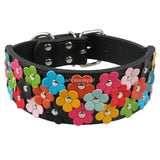 Flower Studded Leather Dog Collar