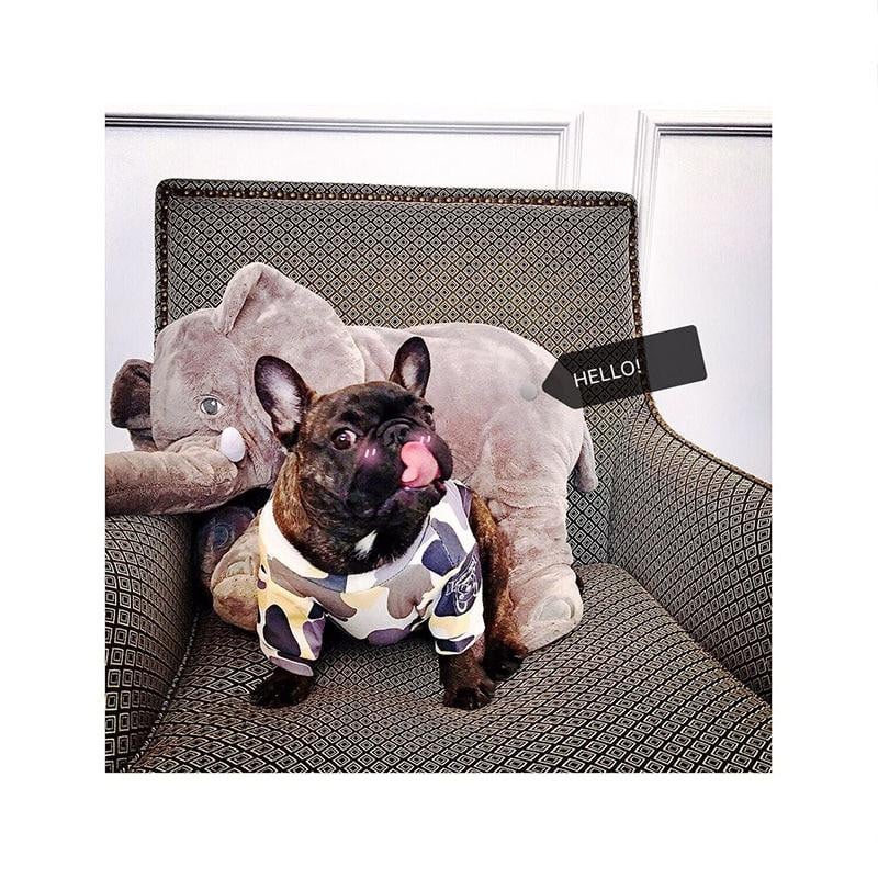 looking cool Dog Clothes for Small Dogs