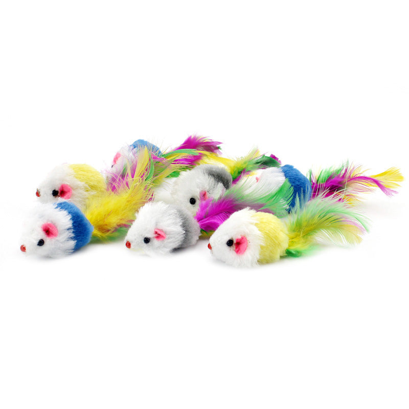 pawstrip 12pcs/pack Colorful Feather Dog Cat Toys