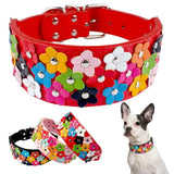 Flower Studded Leather Dog Collar