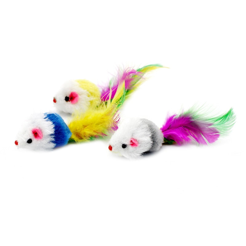 pawstrip 12pcs/pack Colorful Feather Dog Cat Toys