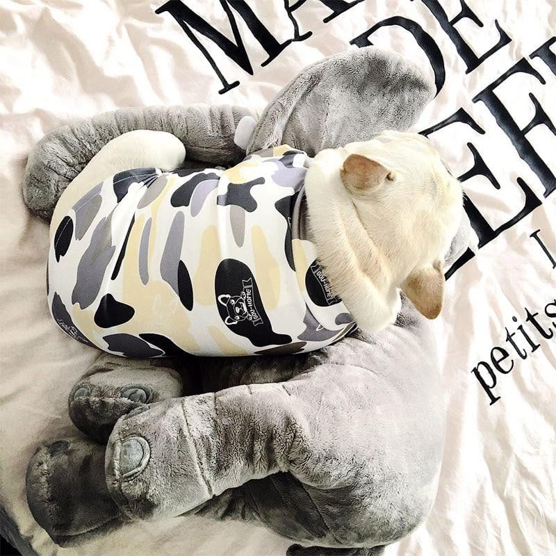 looking cool Dog Clothes for Small Dogs