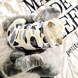 looking cool Dog Clothes for Small Dogs