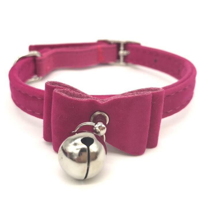 female puppy collars with safety elastic